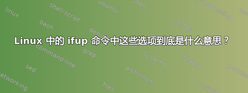 Linux 中的 ifup 命令中这些选项到底是什么意思？