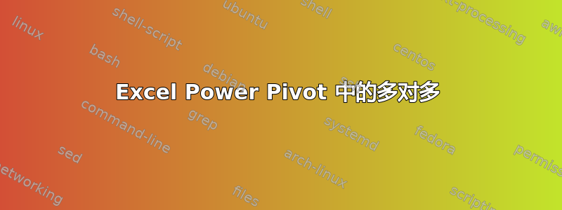 Excel Power Pivot 中的多对多