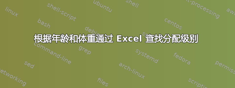 根据年龄和体重通过 Excel 查找分配级别