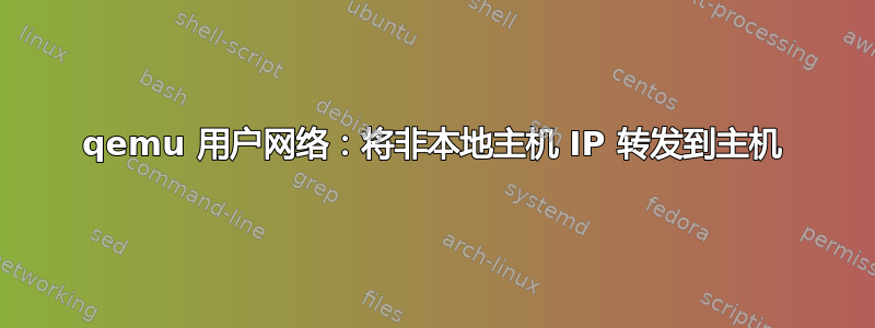 qemu 用户网络：将非本地主机 IP 转发到主机