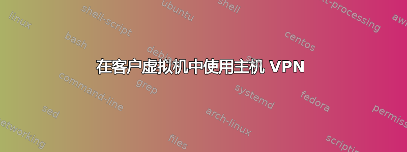 在客户虚拟机中使用主机 VPN