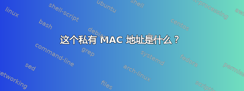 这个私有 MAC 地址是什么？