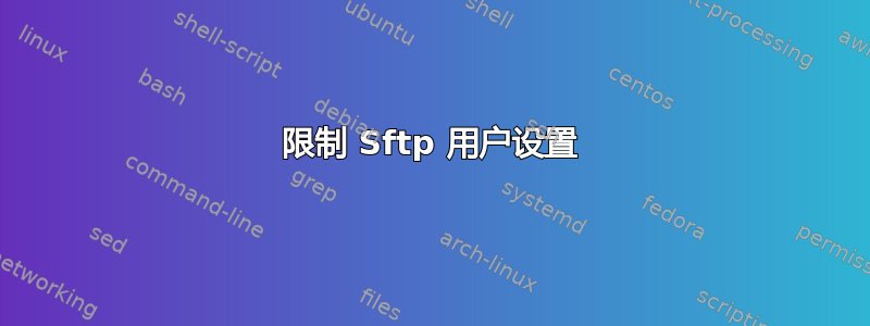 限制 Sftp 用户设置