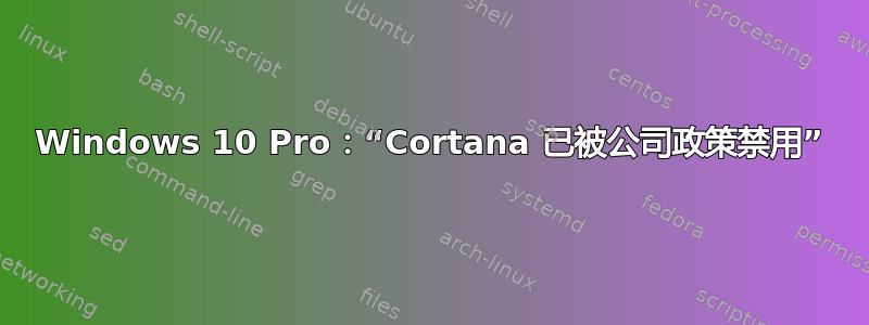 Windows 10 Pro：“Cortana 已被公司政策禁用”