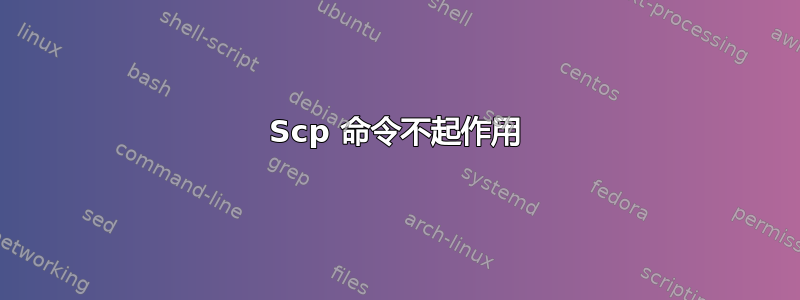 Scp 命令不起作用