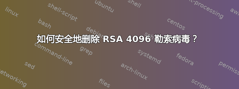 如何安全地删除 RSA 4096 勒索病毒？