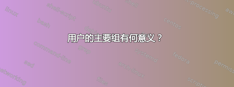 用户的主要组有何意义？