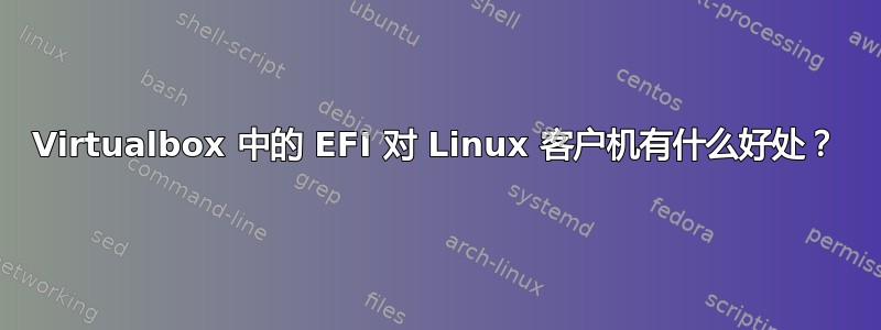 Virtualbox 中的 EFI 对 Linux 客户机有什么好处？