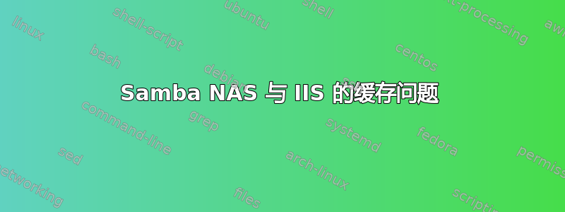 Samba NAS 与 IIS 的缓存问题