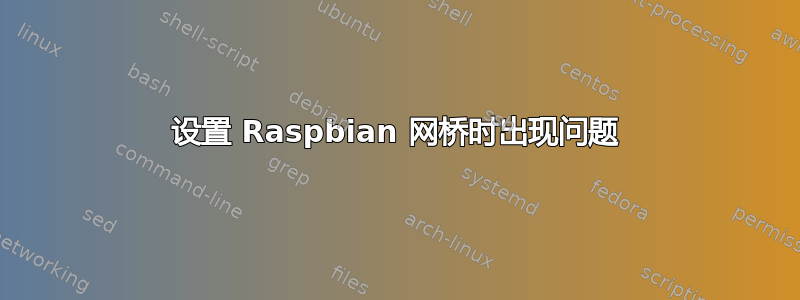 设置 Raspbian 网桥时出现问题