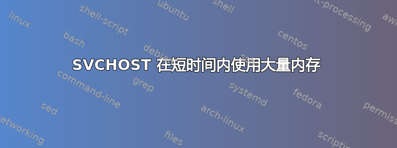 SVCHOST 在短时间内使用大量内存