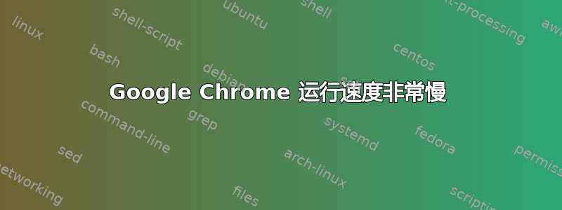 Google Chrome 运行速度非常慢