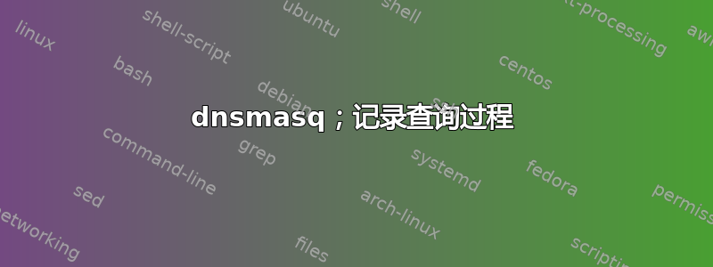 dnsmasq；记录查询过程