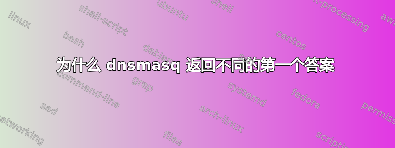 为什么 dnsmasq 返回不同的第一个答案