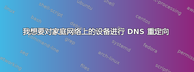 我想要对家庭网络上的设备进行 DNS 重定向