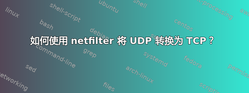 如何使用 netfilter 将 UDP 转换为 TCP？