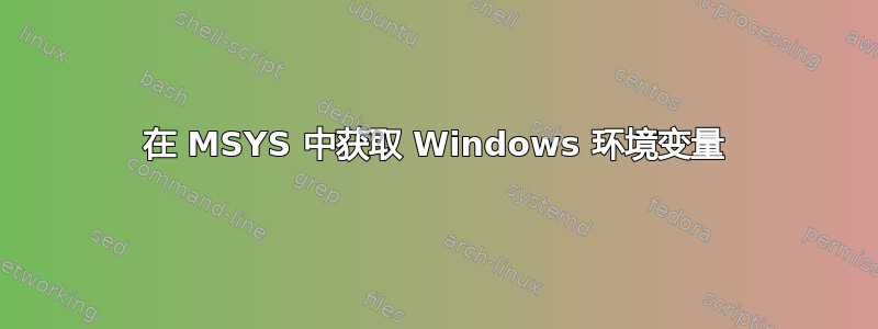 在 MSYS 中获取 Windows 环境变量