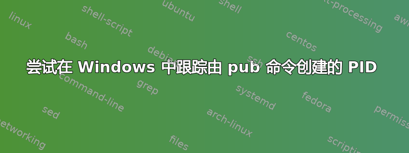 尝试在 Windows 中跟踪由 pub 命令创建的 PID