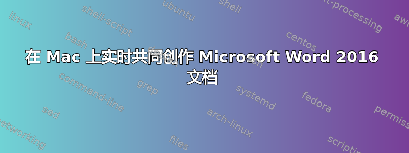 在 Mac 上实时共同创作 Microsoft Word 2016 文档