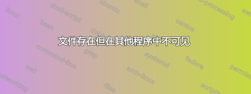 文件存在但在其他程序中不可见