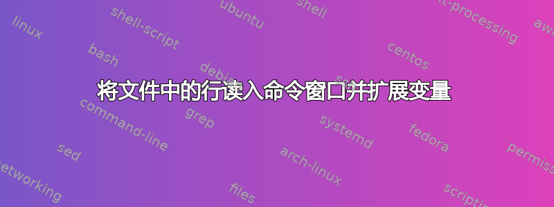 将文件中的行读入命令窗口并扩展变量