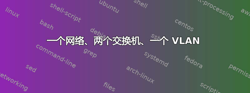 一个网络、两个交换机、一个 VLAN