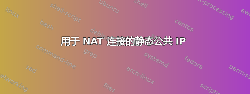 用于 NAT 连接的静态公共 IP