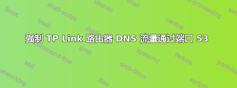 强制 TP Link 路由器 DNS 流量通过端口 53