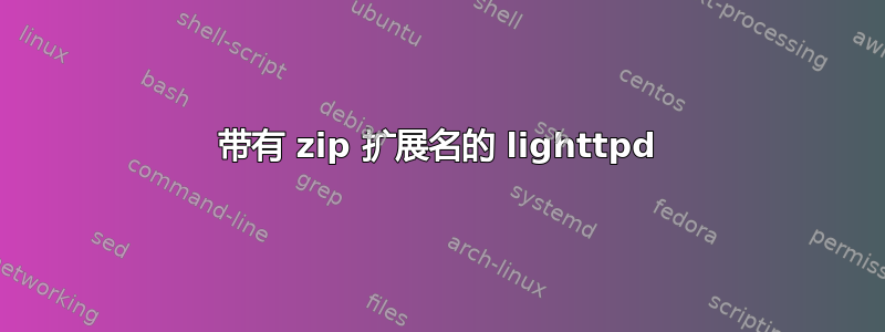 带有 zip 扩展名的 lighttpd