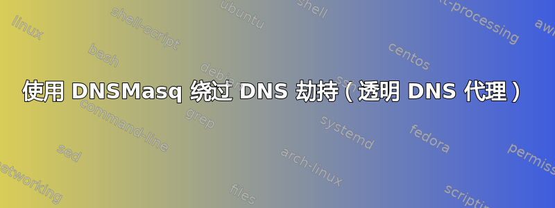 使用 DNSMasq 绕过 DNS 劫持（透明 DNS 代理）