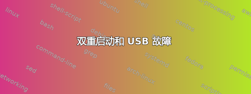 双重启动和 USB 故障