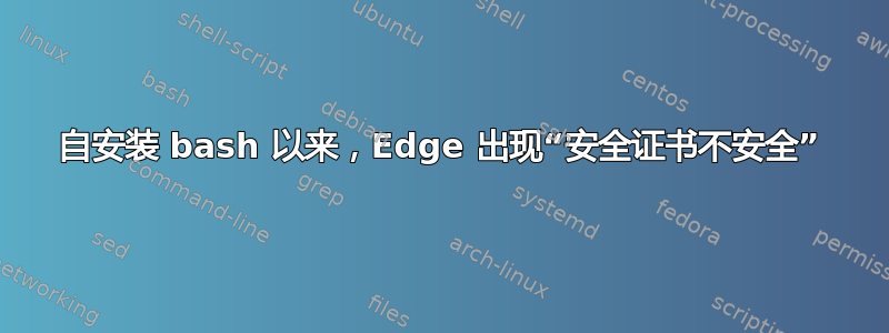 自安装 bash 以来，Edge 出现“安全证书不安全”