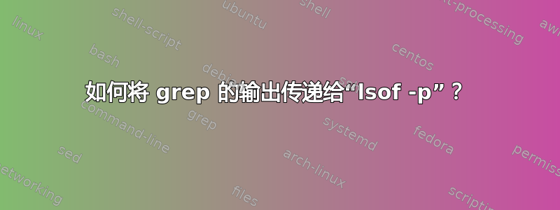 如何将 grep 的输出传递给“lsof -p”？