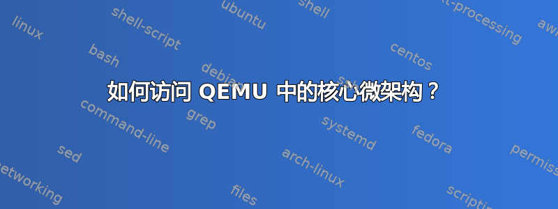 如何访问 QEMU 中的核心微架构？