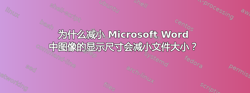 为什么减小 Microsoft Word 中图像的显示尺寸会减小文件大小？