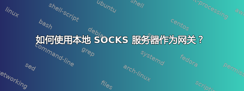 如何使用本地 SOCKS 服务器作为网关？