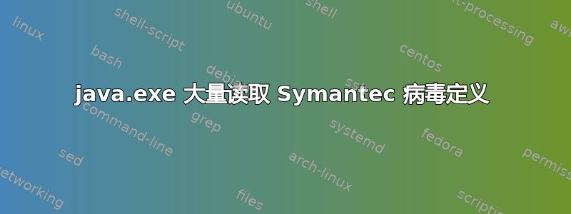 java.exe 大量读取 Symantec 病毒定义