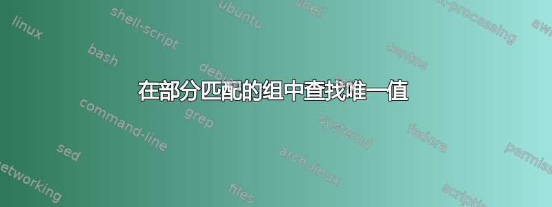 在部分匹配的组中查找唯一值