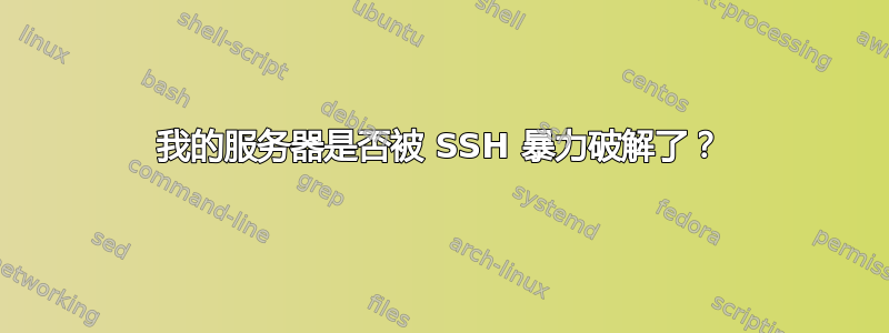 我的服务器是否被 SSH 暴力破解了？