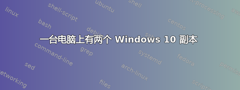 一台电脑上有两个 Windows 10 副本