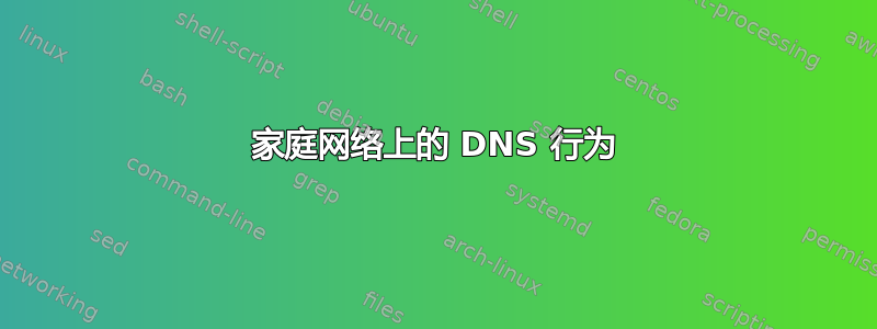 家庭网络上的 DNS 行为