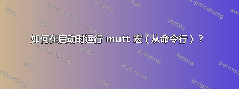 如何在启动时运行 mutt 宏（从命令行）？