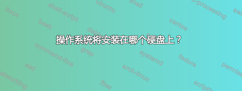 操作系统将安装在哪个硬盘上？