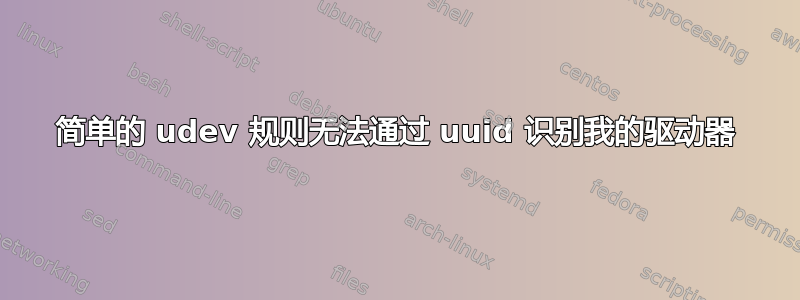 简单的 udev 规则无法通过 uuid 识别我的驱动器