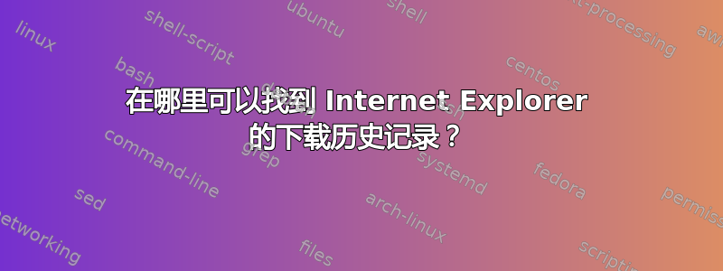 在哪里可以找到 Internet Explorer 的下载历史记录？