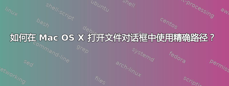 如何在 Mac OS X 打开文件对话框中使用精确路径？