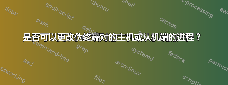 是否可以更改伪终端对的主机或从机端的进程？