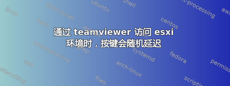 通过 teamviewer 访问 esxi 环境时，按键会随机延迟