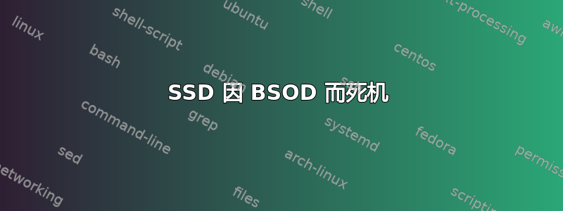 SSD 因 BSOD 而死机