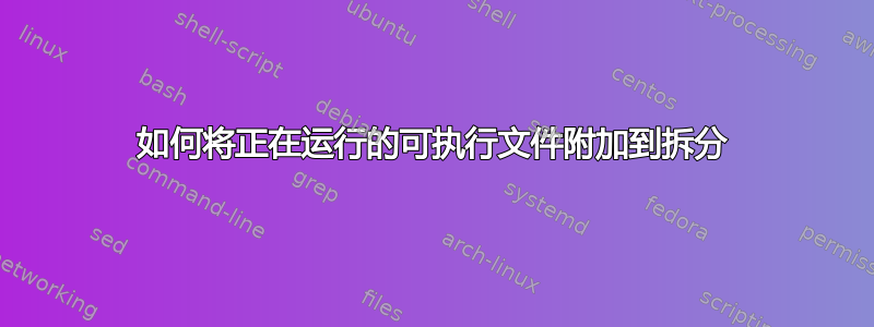 如何将正在运行的可执行文件附加到拆分